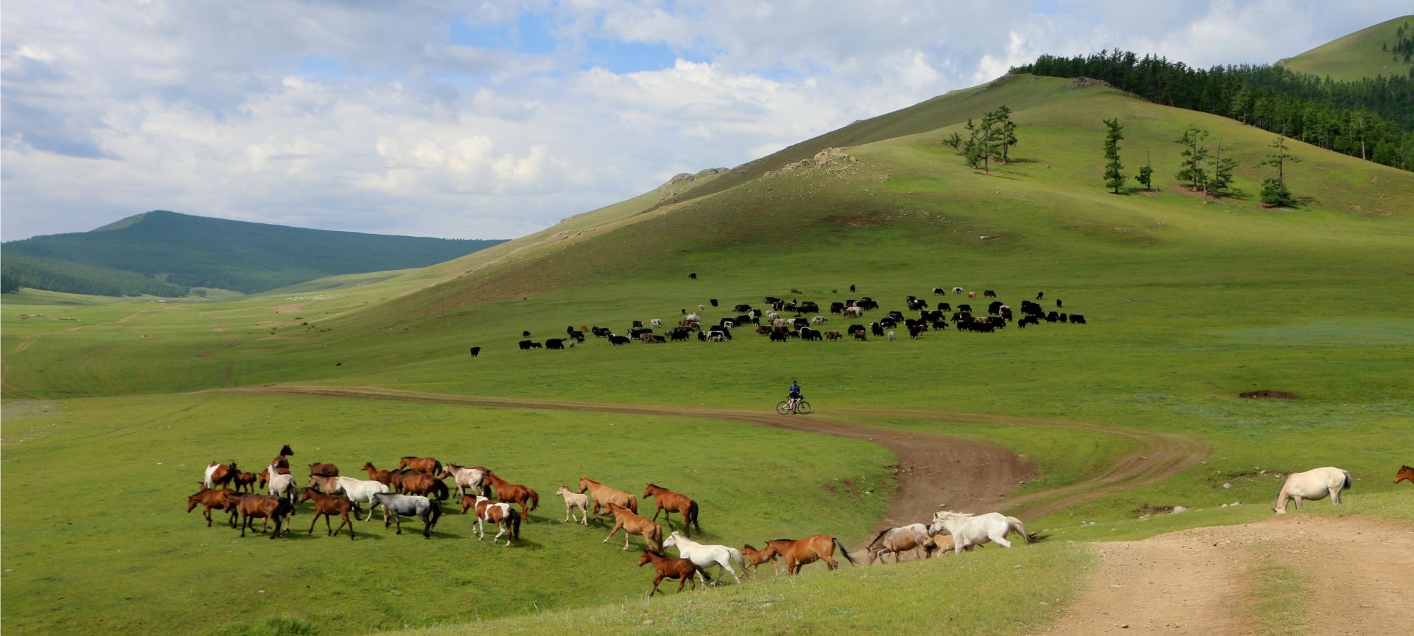 Photos from our Mongolia Gobi Cycling Holiday